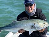 Covid-19, Bonito, Bluefish and Big Trout