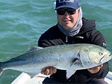 Covid-19, Bonito, Bluefish and Big Trout