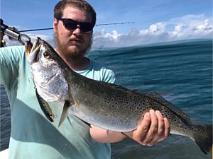 Speckled trout