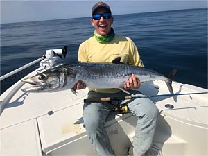 King mackerel