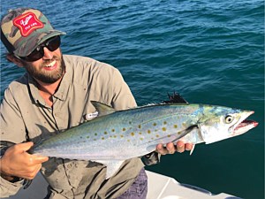 Spanish Mackerel