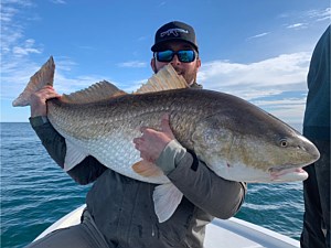 Redfish